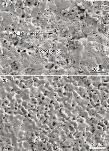 20210209084303 84639 - Corrosion behavior of 304 and 316H stainless steel in LiF-NaF-KF molten salt